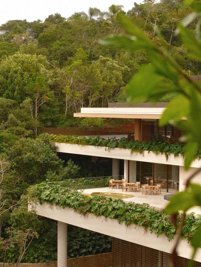 Horta orgânica